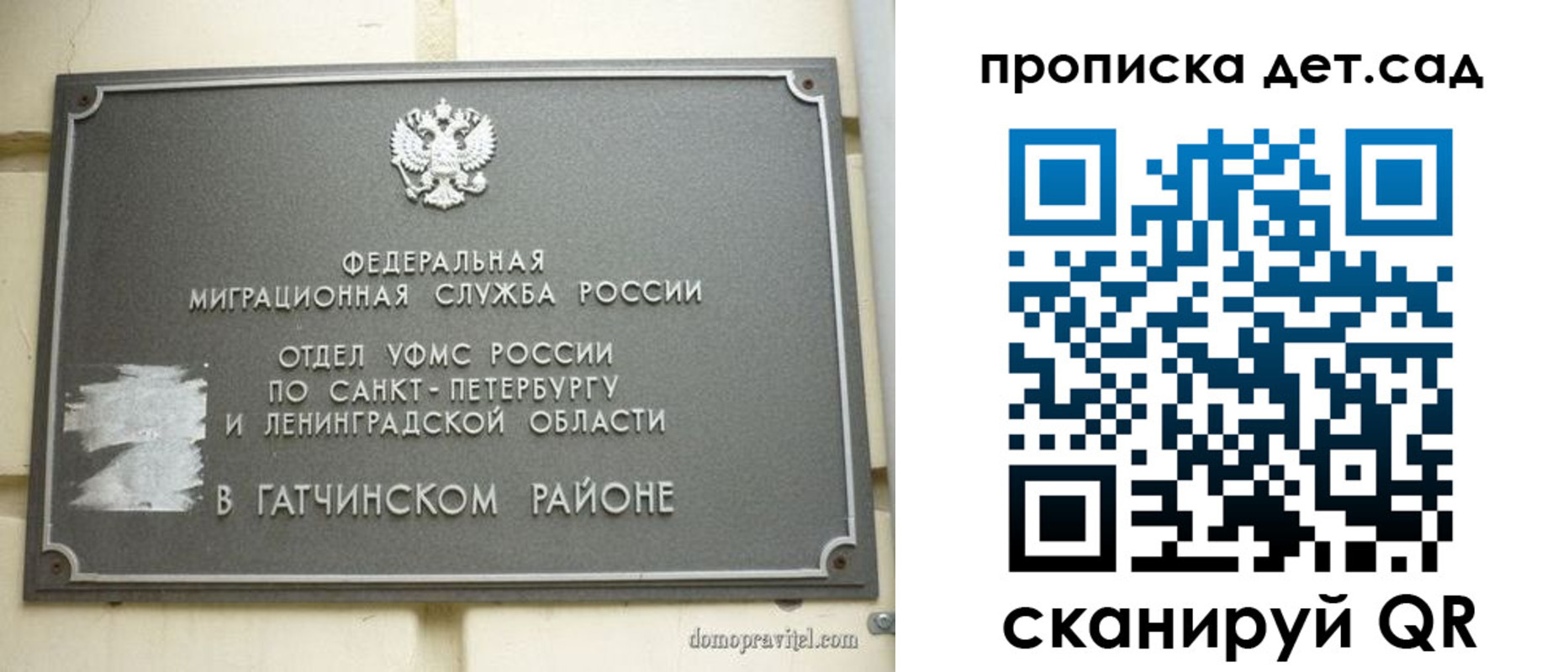 прописка гарантия в Брянской области